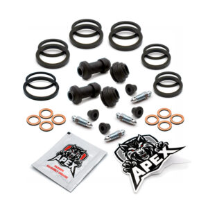 Honda CBR1000F FW 1998 | Front Brake Caliper Seal Service