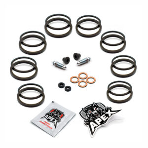 Honda CBR600 FS2 Sport 2002 | Front Brake Caliper Seal Service