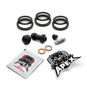 Honda GL1800B Goldwing K 2019 | Rear Brake Caliper Seal Service