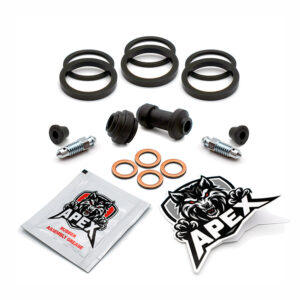 Honda GL1800C Valkyrie E 2014 | Rear Brake Caliper Seal Service