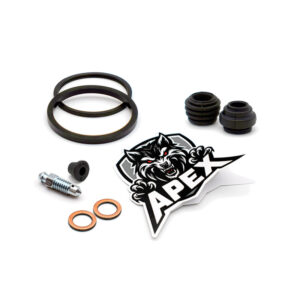 Honda NSS300 Forza E 2014 | Rear Brake Caliper Seal Service