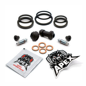 Honda PS250 Big Ruckus 2006 | Front Brake Caliper Seal Service