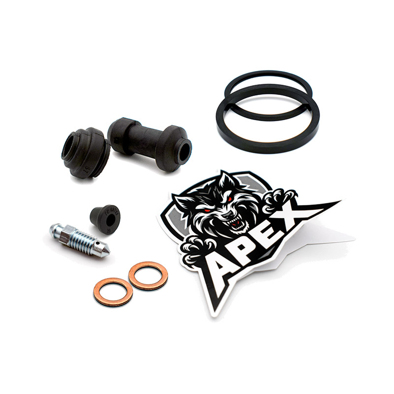 Suzuki DR650 SE 2019 | Rear Brake Caliper Seal Service