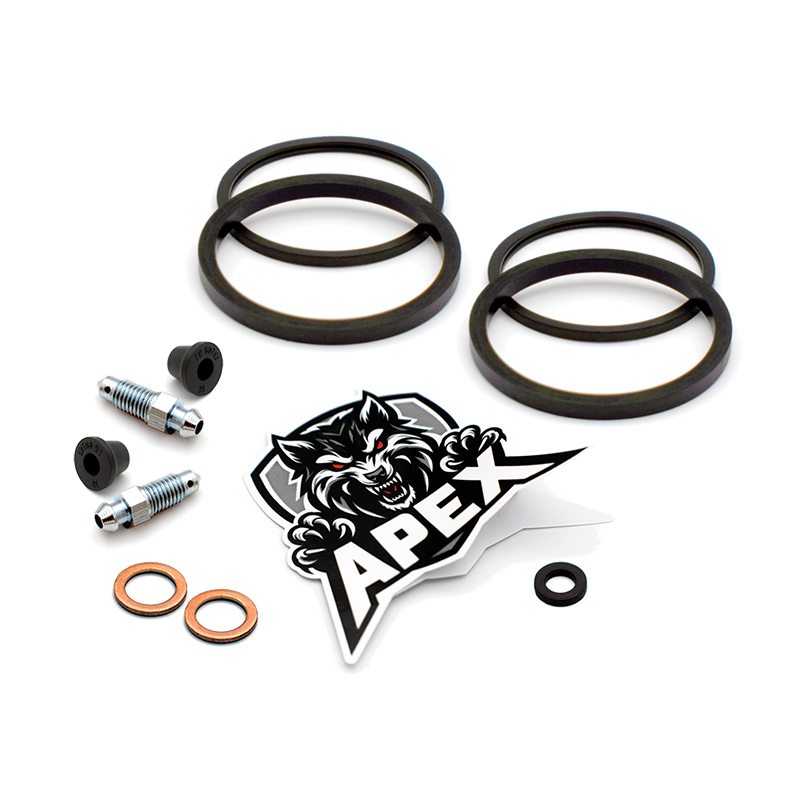 Suzuki GSXR600 Y SRAD 2000 | Rear Brake Caliper Seal Service