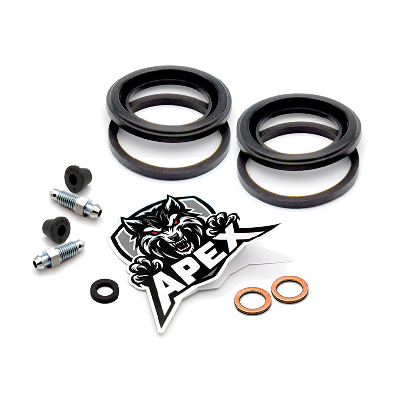 Suzuki GSXR750 L 1990 | Rear Brake Caliper Seal Service