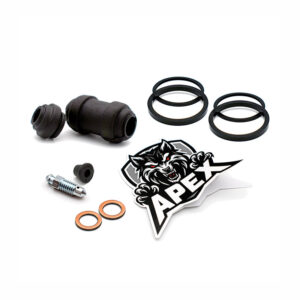 Yamaha MT-01 2005 | Rear Brake Caliper Seal Service
