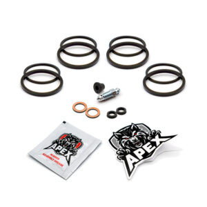 Yamaha TDR250 1989 | Front Brake Caliper Seal Service
