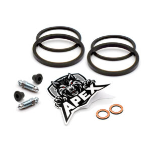 Yamaha XJR1300 2008 | Rear Brake Caliper Seal Service