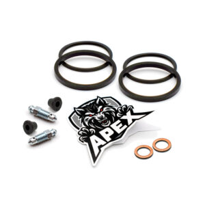 Yamaha XJR400 2002 | Rear Brake Caliper Seal Service