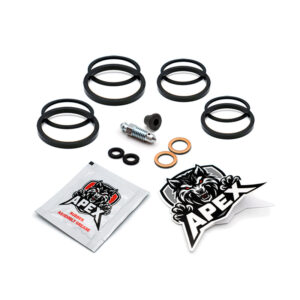 Yamaha XVZ1300 Royal Star 1999 | Rear Brake Caliper Seal Service